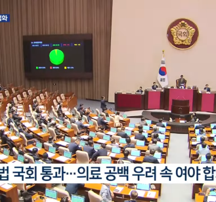 행동하는 간호사회, 간호법 통과에 대한 우려 표명