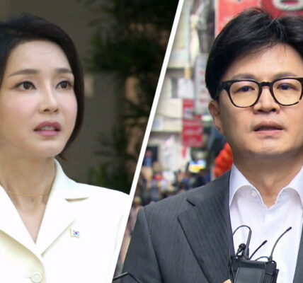 김여사 논문 표절 의혹 증인 채택… 한동훈 딸도 요청