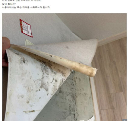 현대건설 힐스테이트 봉담 프라이드시티, 하자 파동... 2333세대 입주민 울상