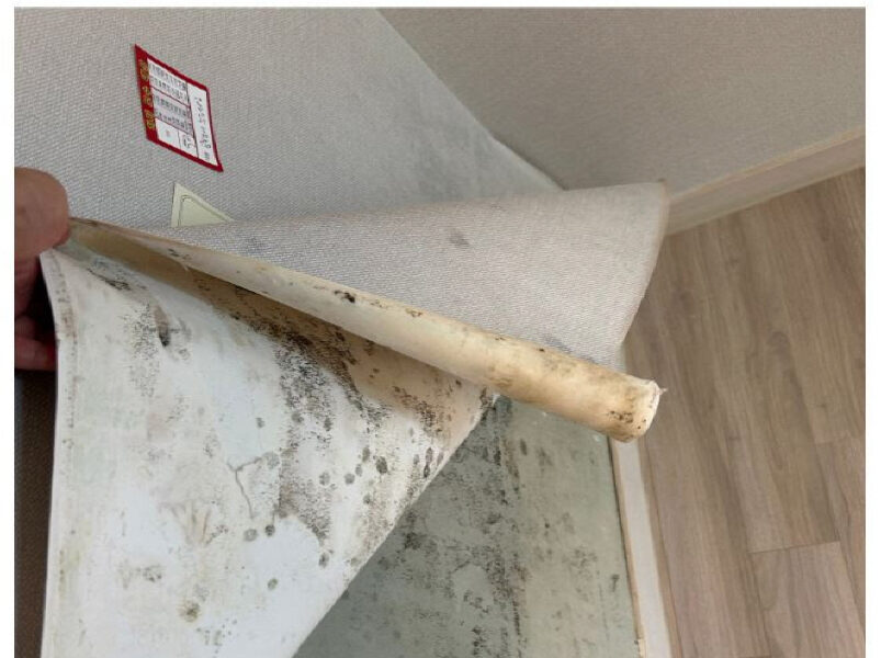 현대건설 힐스테이트 봉담 프라이드시티, 하자 파동... 2333세대 입주민 울상