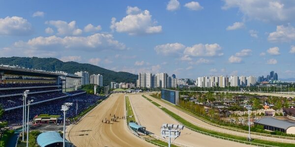 마사회, 마권 구매상한제 1만 건 넘게 위반…도박중독 심화 우려