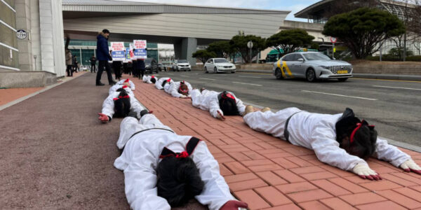 용인대학교 단협 위반 논란… 노동자들 오체투지 행진 돌입