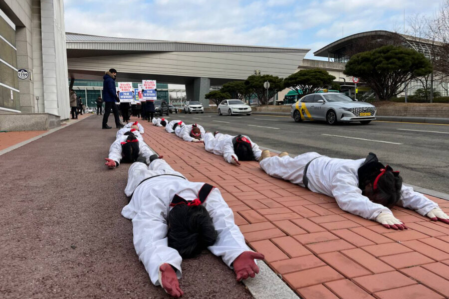 용인대학교 단협 위반 논란… 노동자들 오체투지 행진 돌입