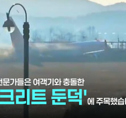 [제주항공 참사] 무안공항 설계 논란, 해외 전문가 '벽' 결정적 참사 원인