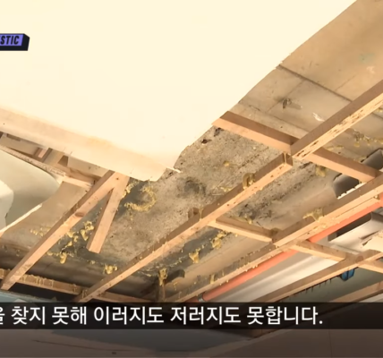 SG건설 타일 와르르·누수까지 '총체적 부실' 논란