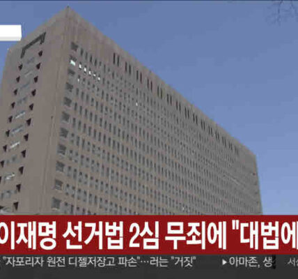 검찰이 이재명 더불어민주당 대표의 공직선거법 위반 사건 항소심에서 무죄가 선고된 지 하루 만인 27일 상고했다.