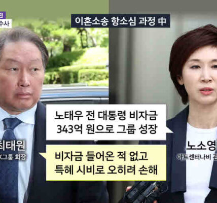 김우영 의원은 최태원 회장의 이혼 소송과 SKT 유심 해킹 사태를 연관 지어 비판하며, 검찰은 노태우 전 대통령의 300억 원 비자금 의혹에 대한 수사를 진행 중이다. 사진은 MBN 캡처.