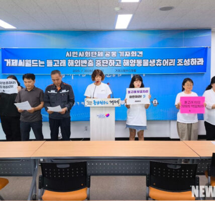 2025년 7월 23일, 핫핑크돌핀스를 비롯한 14개 시민사회단체가 거제시청 브리핑 룸에서 거제씨월드의 돌고래 해외 반출 중단을 촉구하며 해양동물생츄어리 조성을 요구하는 기자회견을 열고 있다.