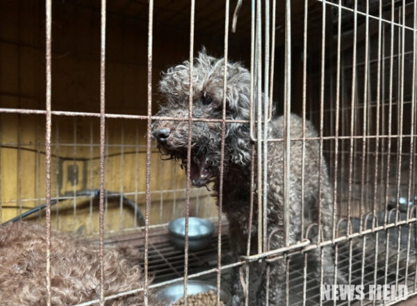 턱뼈에 이상이 생겨 입을 다물지 못하는 개체.