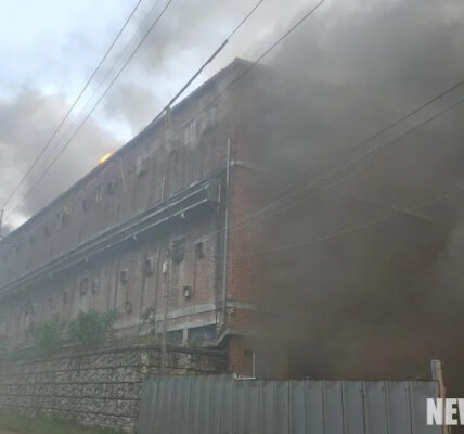 지난 5월19일 오후 경남 합천군의 한 돼지농장에서 난 불로 한국농수산대학교 장기현장실습생 1명이 목숨을 잃고, 돼지 1만3천여마리가 죽었다. 경남소방본부 제공