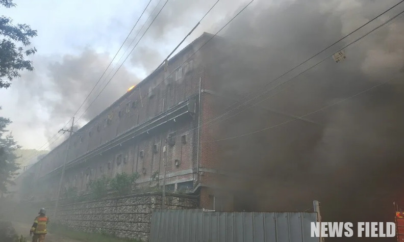 지난 5월19일 오후 경남 합천군의 한 돼지농장에서 난 불로 한국농수산대학교 장기현장실습생 1명이 목숨을 잃고, 돼지 1만3천여마리가 죽었다. 경남소방본부 제공