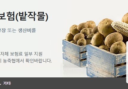 NH농협손해보험