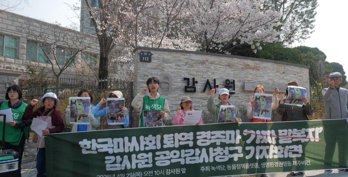 1일 오전 서울 여의도 국회 정문 앞에서 녹색당과 제주비건 등 시민단체 관계자들이 한국마사회의 퇴역 경주마 통계 조작 의혹 규명 및 복지 제도 개선을 촉구하고 있다.
