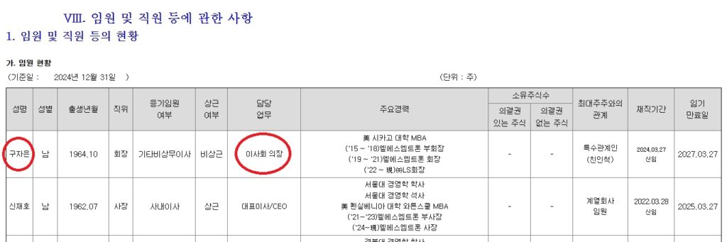 LS엠트론 2024 사업보고서(2025년 3월 18일 제출)에 기재된 구자은 회장 임원 현황.2024년 12월 31일 기준으로 기타비상무이사이자 이사회 의장으로 등재돼 있다. (빨간 원 표시 부분)