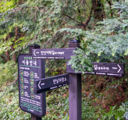 서대문 안산 자락길 모습. 사진은 기사 내용과 직접적인 관련이 없는 자료사진. (사진=서대문구)