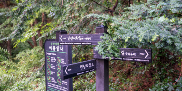 서대문 안산 자락길 모습. 사진은 기사 내용과 직접적인 관련이 없는 자료사진. (사진=서대문구)