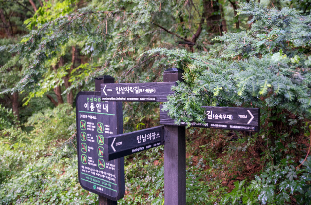 서대문 안산 자락길 모습. 사진은 기사 내용과 직접적인 관련이 없는 자료사진. (사진=서대문구)