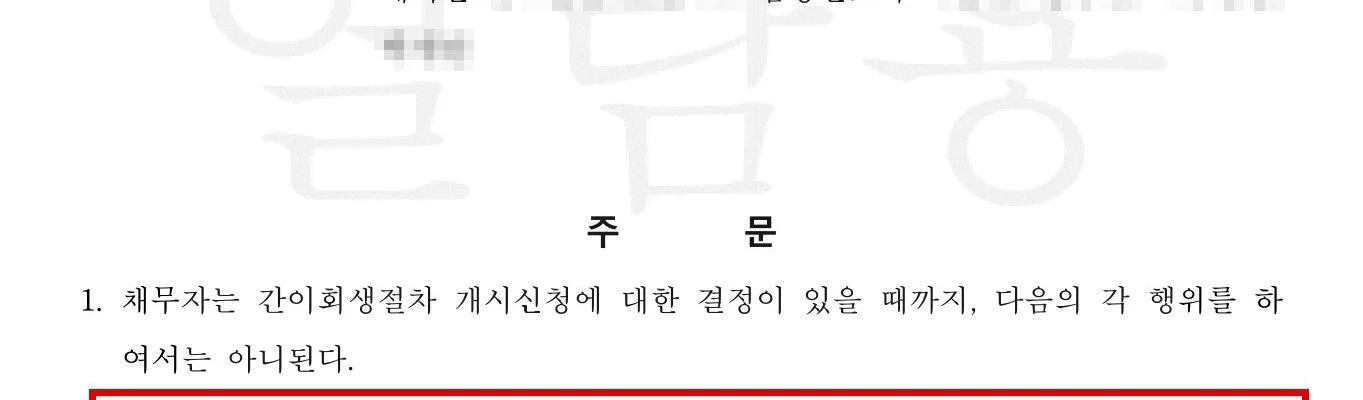 법원이 지난달 22일 대리점 운영 회사의 간이회생 신청에 내린 보전처분 결정. 회생 개시 여부가 정해질 때까지 기존 빚을 갚거나 돈을 빌리는 일, 재산 처분, 노무·생산직을 뺀 직원 채용이 모두 막혔다. 사건번호와 회사·대리인 정보는 가렸다. (출처=대리점 제공)