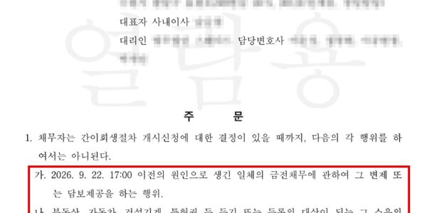 법원이 지난달 22일 대리점 운영 회사의 간이회생 신청에 내린 보전처분 결정. 회생 개시 여부가 정해질 때까지 기존 빚을 갚거나 돈을 빌리는 일, 재산 처분, 노무·생산직을 뺀 직원 채용이 모두 막혔다. 사건번호와 회사·대리인 정보는 가렸다. (출처=대리점 제공)