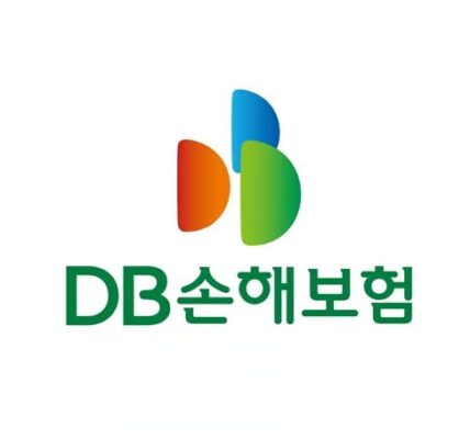 DB손해보험 로고 / 사진출처=DB손해보험