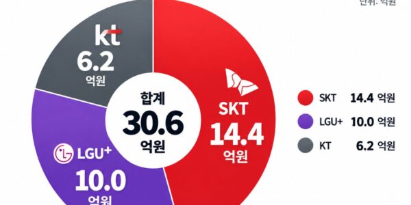 2022년부터 2026년 6월까지 SK텔레콤·KT·LG유플러스 등 통신 3사의 연도별 미환급 잔액 현황. 올해 6월 기준 SK텔레콤의 미환급금은 14억4000만원으로 통신 3사 가운데 가장 많았으며, LG유플러스 10억원, KT 6억2000만원 순으로 집계됐다. 전체 미환급금은 30억6000만원으로 5년째 30억원 안팎에 머물고 있다. 자료=한준호 의원실·방송통신위원회, 그래픽=뉴스필드