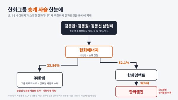 김동관·김동원·김동선 삼형제가 약 80%를 보유한 한화에너지가 ㈜한화(23.56%)와 한화임팩트(52.1%)를 거쳐 한화엔진까지 지배하는 구조. ㈜한화 지분율은 올해 6월 말 기준. [그래픽=뉴스필드]