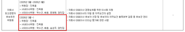 신한금융지주 2026년 반기보고서의 이사회 내 위원회 현황. 자회사 대표이사 후보자를 선정하고 리더십을 평가하는 자회사최고경영자후보추천위원회의 위원장을 진옥동 회장이 맡고 있다. (출처=신한금융지주 2026년 반기보고서, 금융감독원 전자공시시스템)