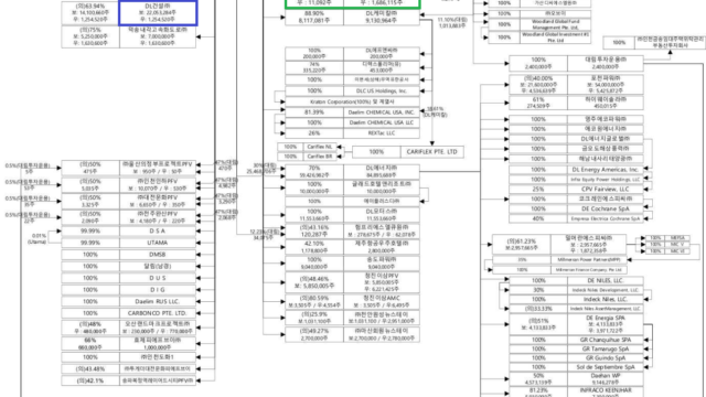 DL그룹 지배구조